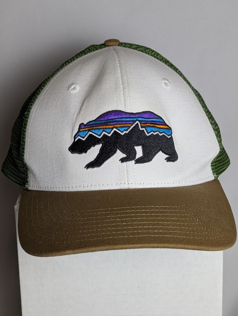 Patagonia Fitz Roy Bear Trucker Hat